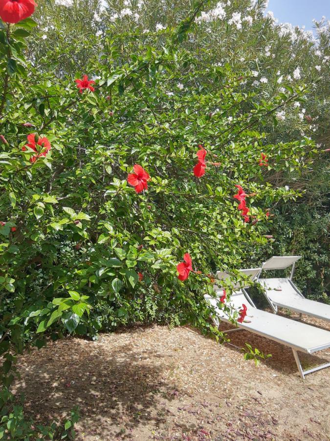-Exclusive Private Villa- ヴィッラシミーウス エクステリア 写真