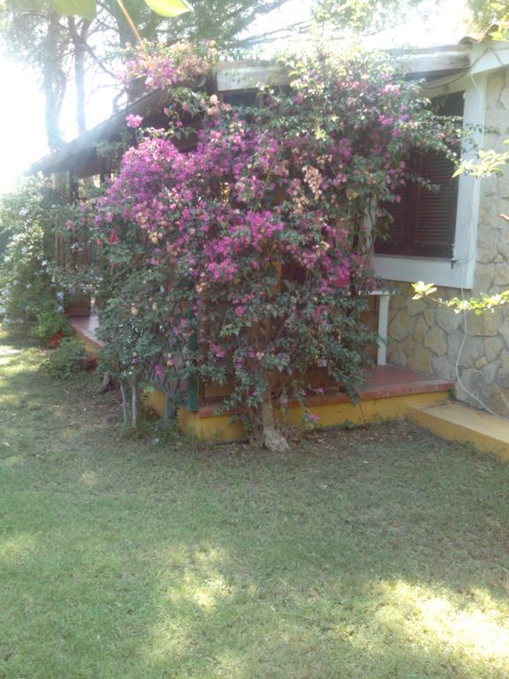 -Exclusive Private Villa- ヴィッラシミーウス エクステリア 写真